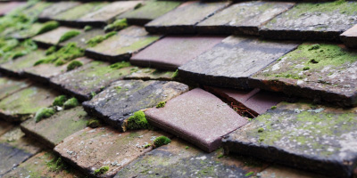 Hale roof repair costs